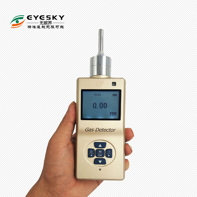 无眼界科技公司*ES20B-AsH3便携式砷化氢气体检测仪