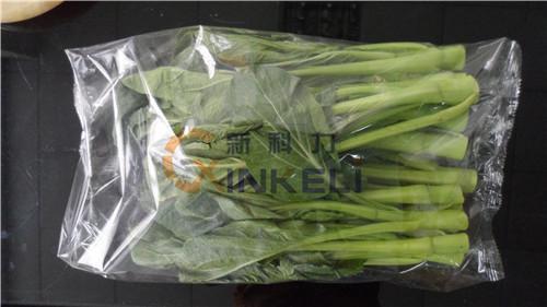 潍坊进口蔬菜包装机