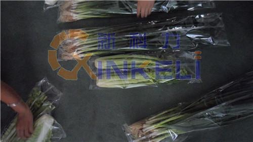 郑州全新蔬菜包装机