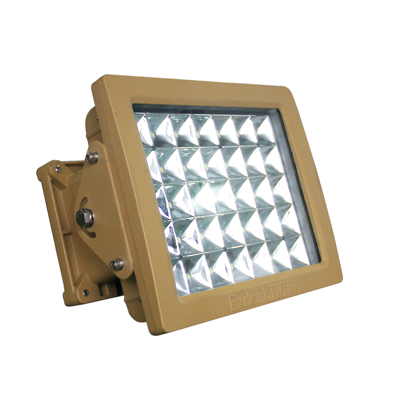 圆形防爆灯耐高温高效节能防尘5060/100W投光泛光照明平台LED灯具