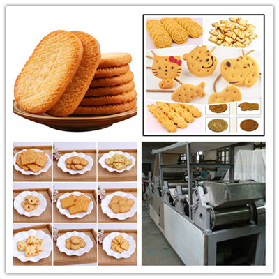 饼干自动化生产线 酥性韧性饼干生产线