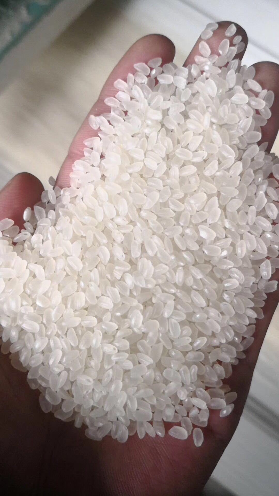 厂家直销珍珠大米圆粒大米