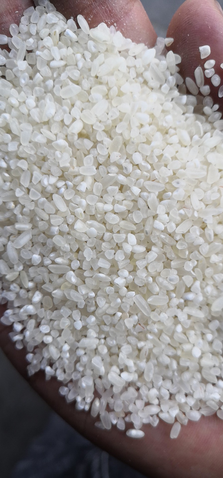 鱼台大米 批发大中小碎米价格 北京热销大米碎米价格
