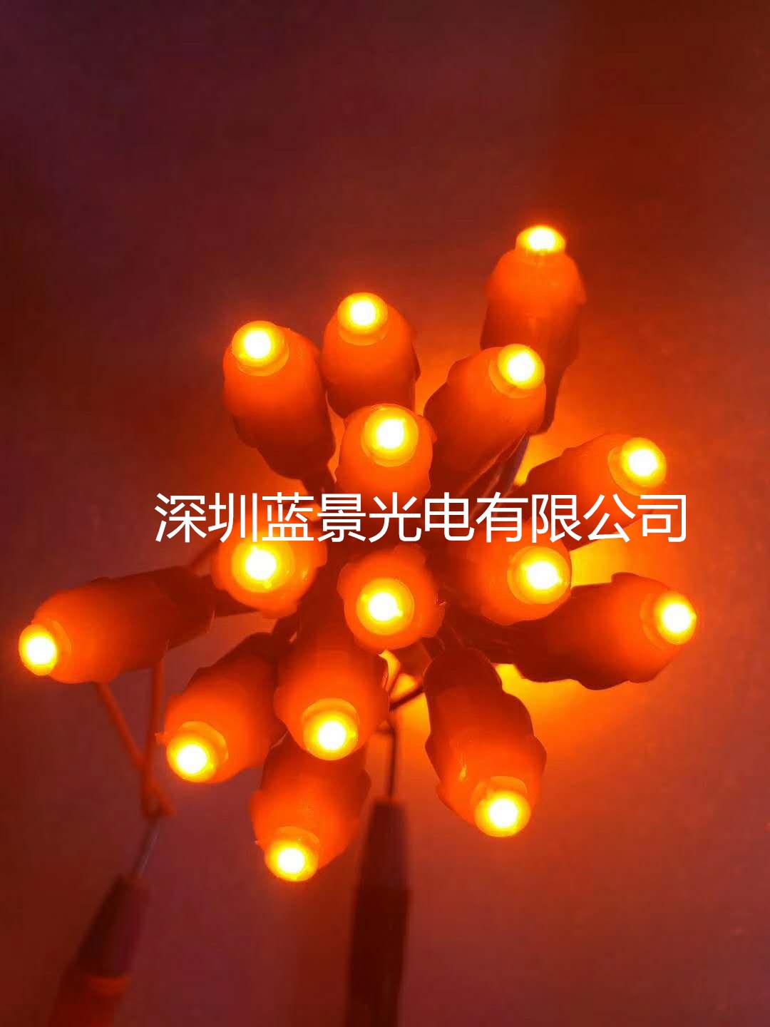 深圳蓝景光电橙红光9mm12v外露灯