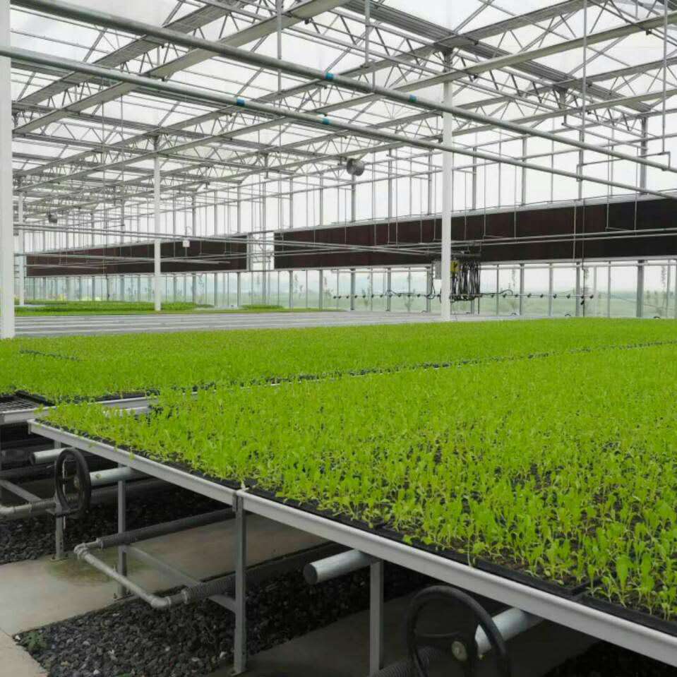 温室大棚-植物的阳光暖房-专业设计安装-省心省钱省时省力