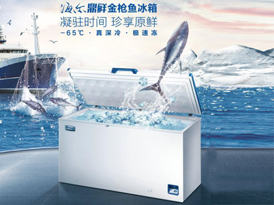 -60度 经济型深海鱼冰箱 DW-60W139