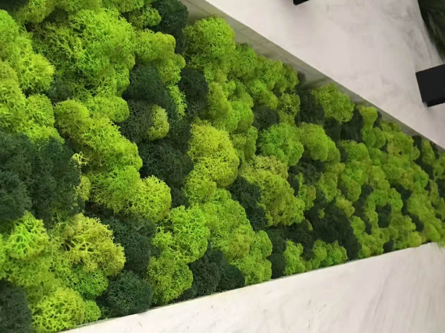 重庆永生苔藓植物墙重庆立体墙面装饰重庆生态绿化墙重庆仿真青苔墙