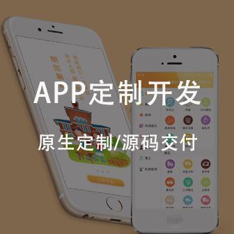陇南app程序开发