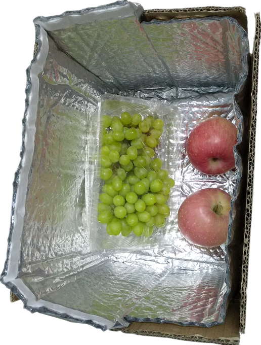 厂家直销 保鲜袋 食品生鲜水果保温袋 铝箔隔热保鲜冰包袋