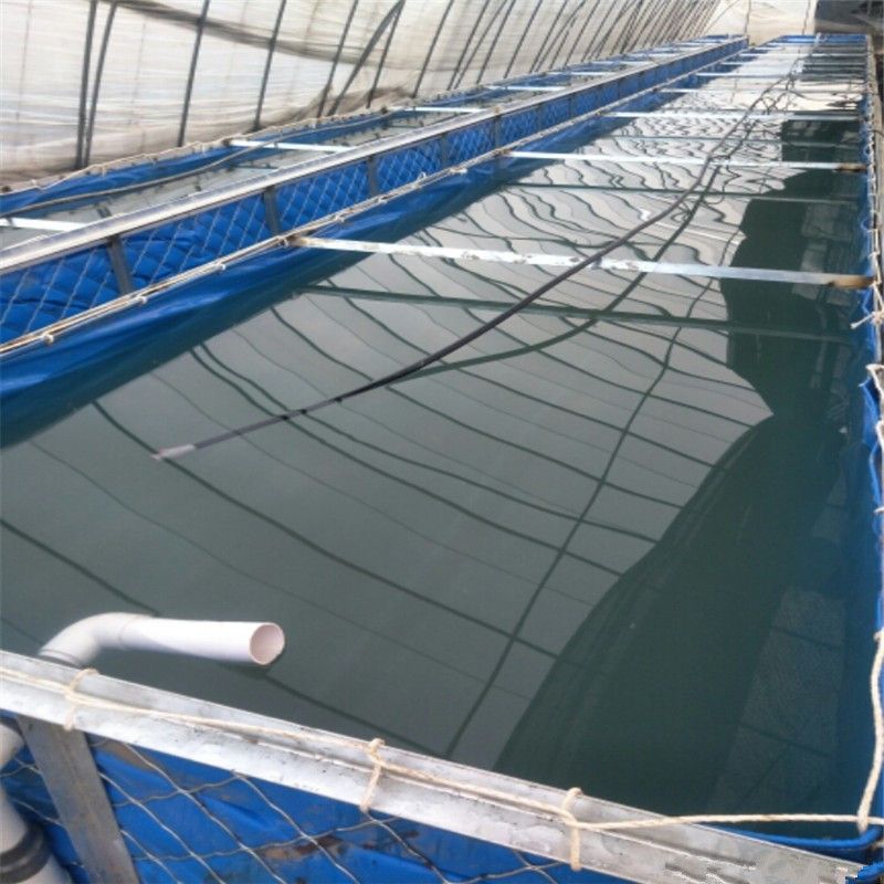 抗拉强度高 耐酸碱水产养殖帆布池子