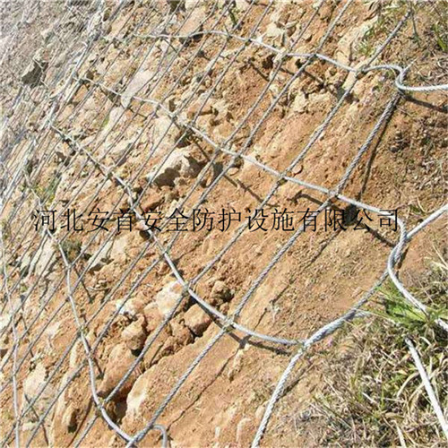 热镀锌钢丝绳主动边坡防护网_包塑钢丝绳主动边坡防护网