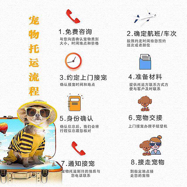 宠物托运公司郑州到上海大巴航空运输安全专业快捷价格低