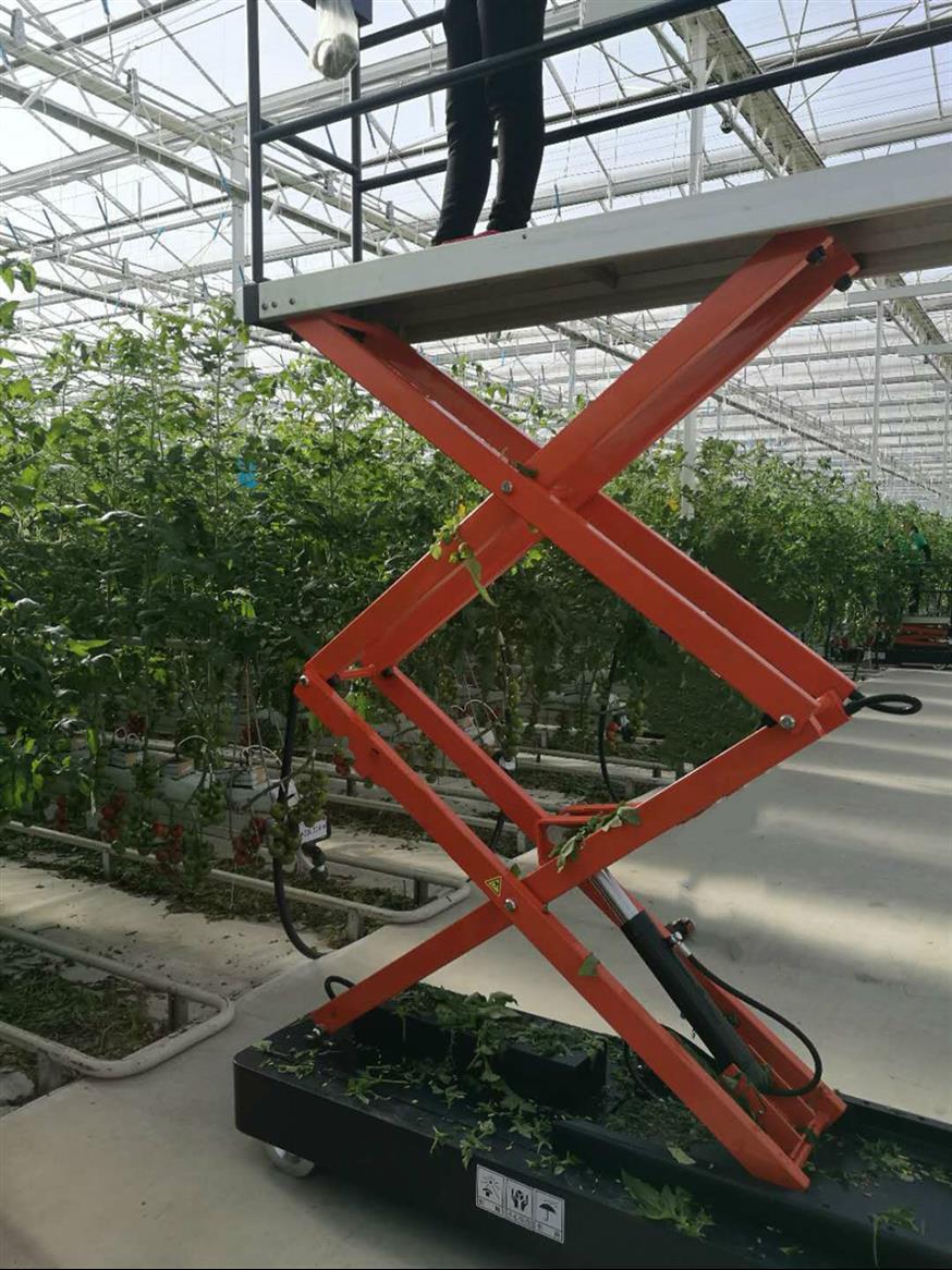 温室大棚番茄种植采摘车 采摘定制及配套轨道支架 荷兰模式