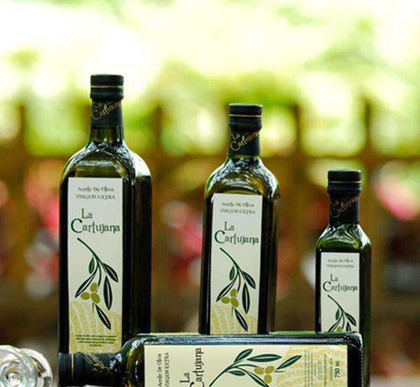 北京进口希腊橄榄油专业进口海运货代
