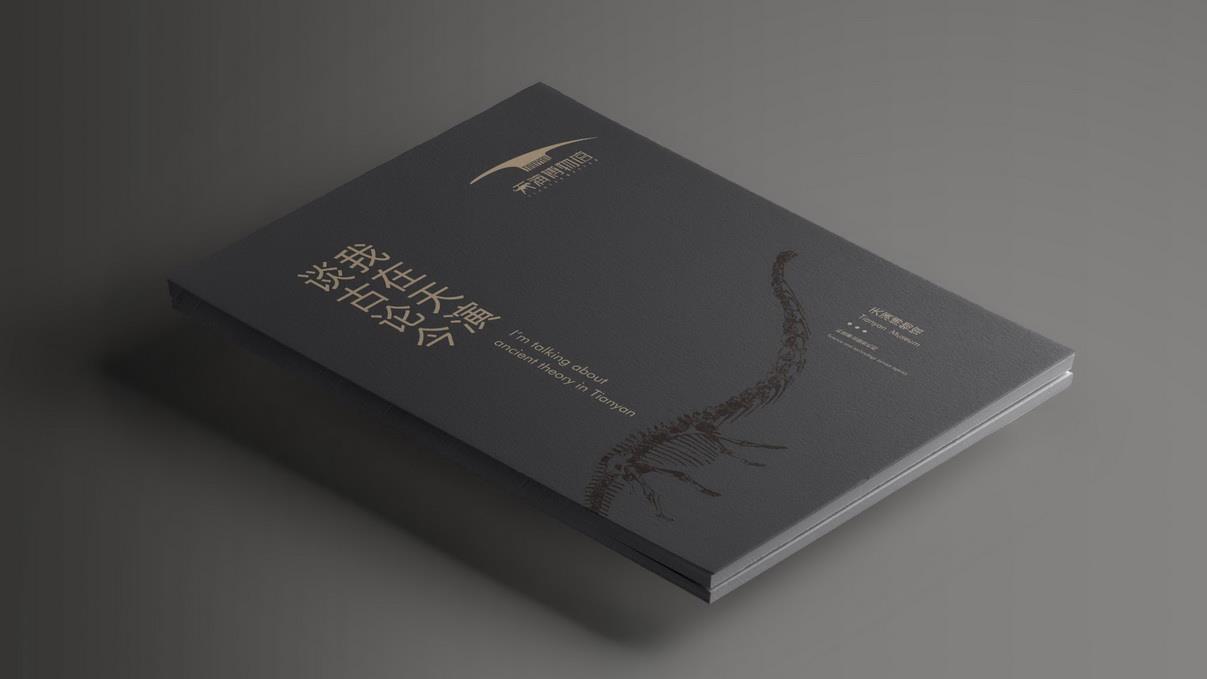 上海国外画册设计网