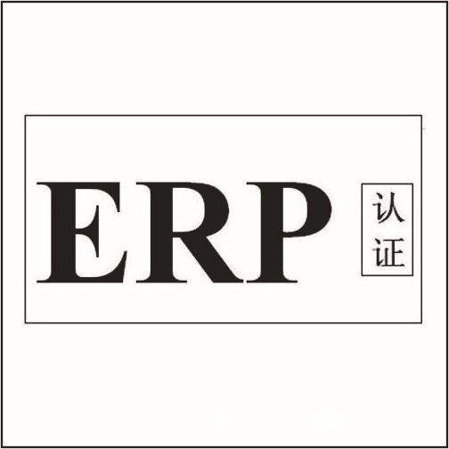 ERP认证测试项目是什么