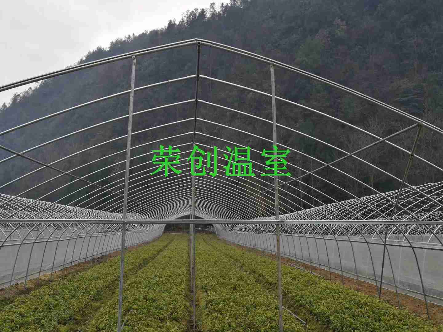 河北/湖南大棚钢架 温室大棚材料 温室大棚结构形式