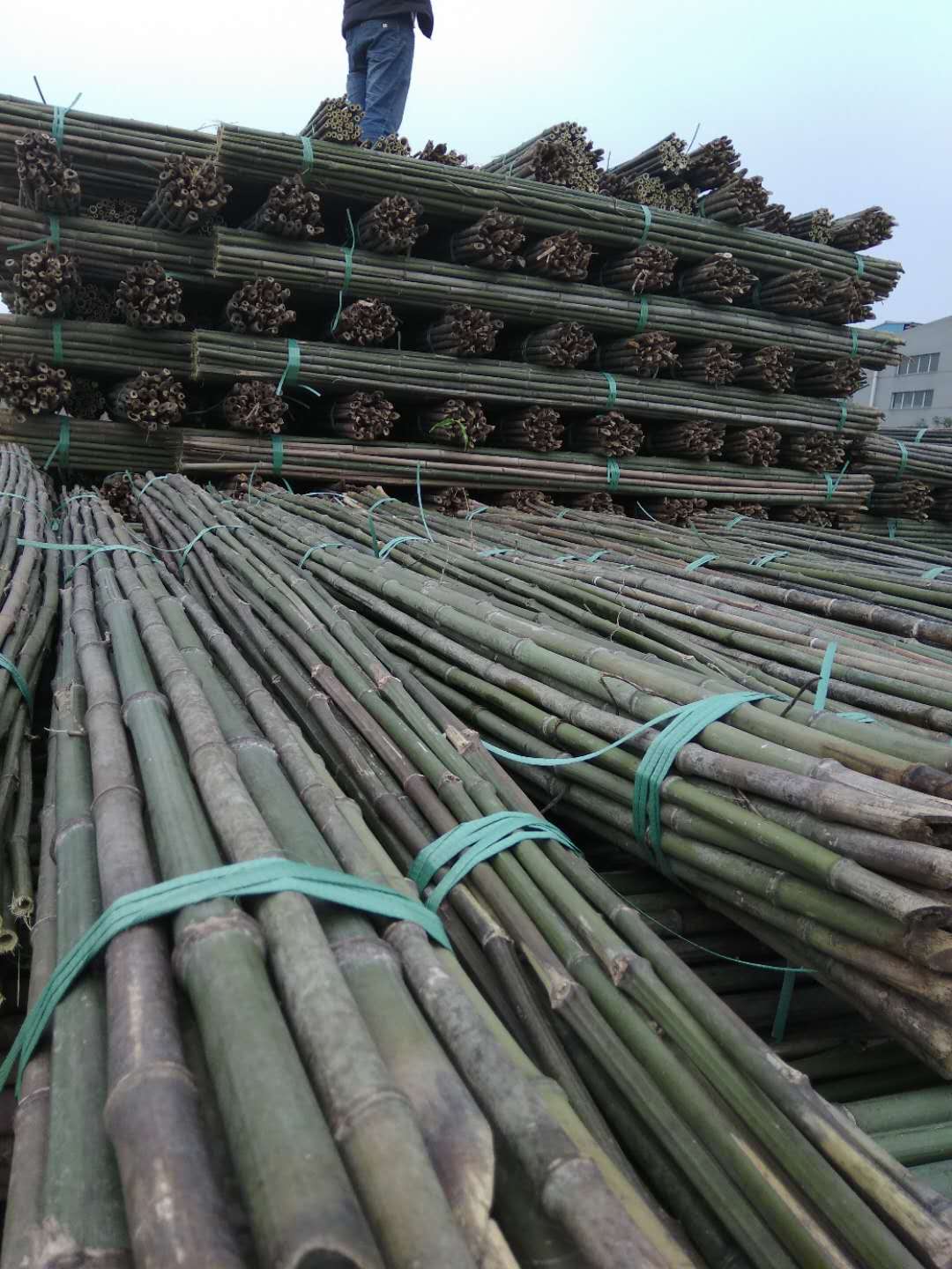 厂家批发销售2-3米菜架竹竿，2.5米菜架条