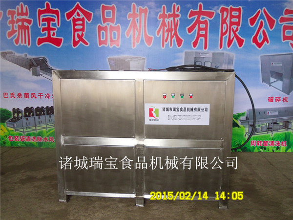 瑞宝XJ-6000型大姜清洗机 全自动洗姜机
