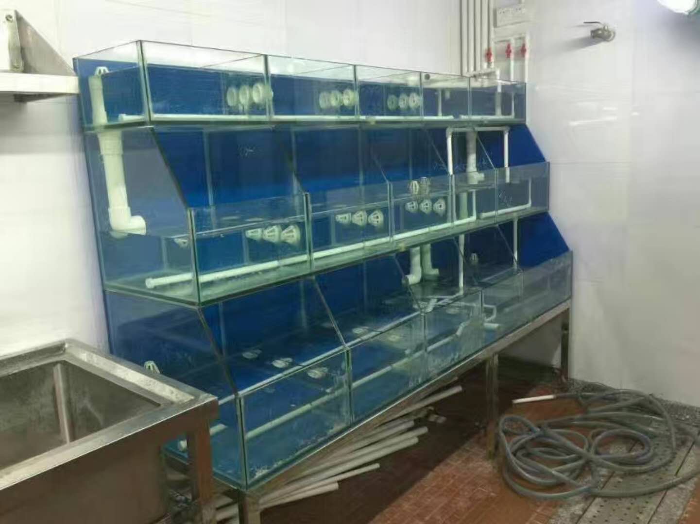广州提供海鲜鱼池定制，水族公司供应海鲜池过滤，广州海鲜养殖鱼池制冷