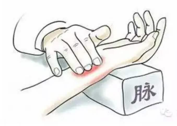 黄南中医脉诊教学