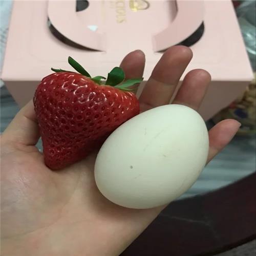 拉松6号草莓苗简介