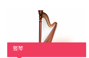 上海瀚茵培训学校上海竖琴培训平台哪个好行业的优选