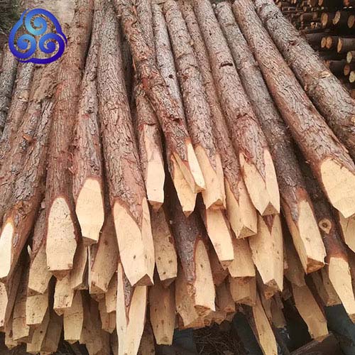 货场直供1至8米多种规格杉木松木桩水利工程打桩用原木桩