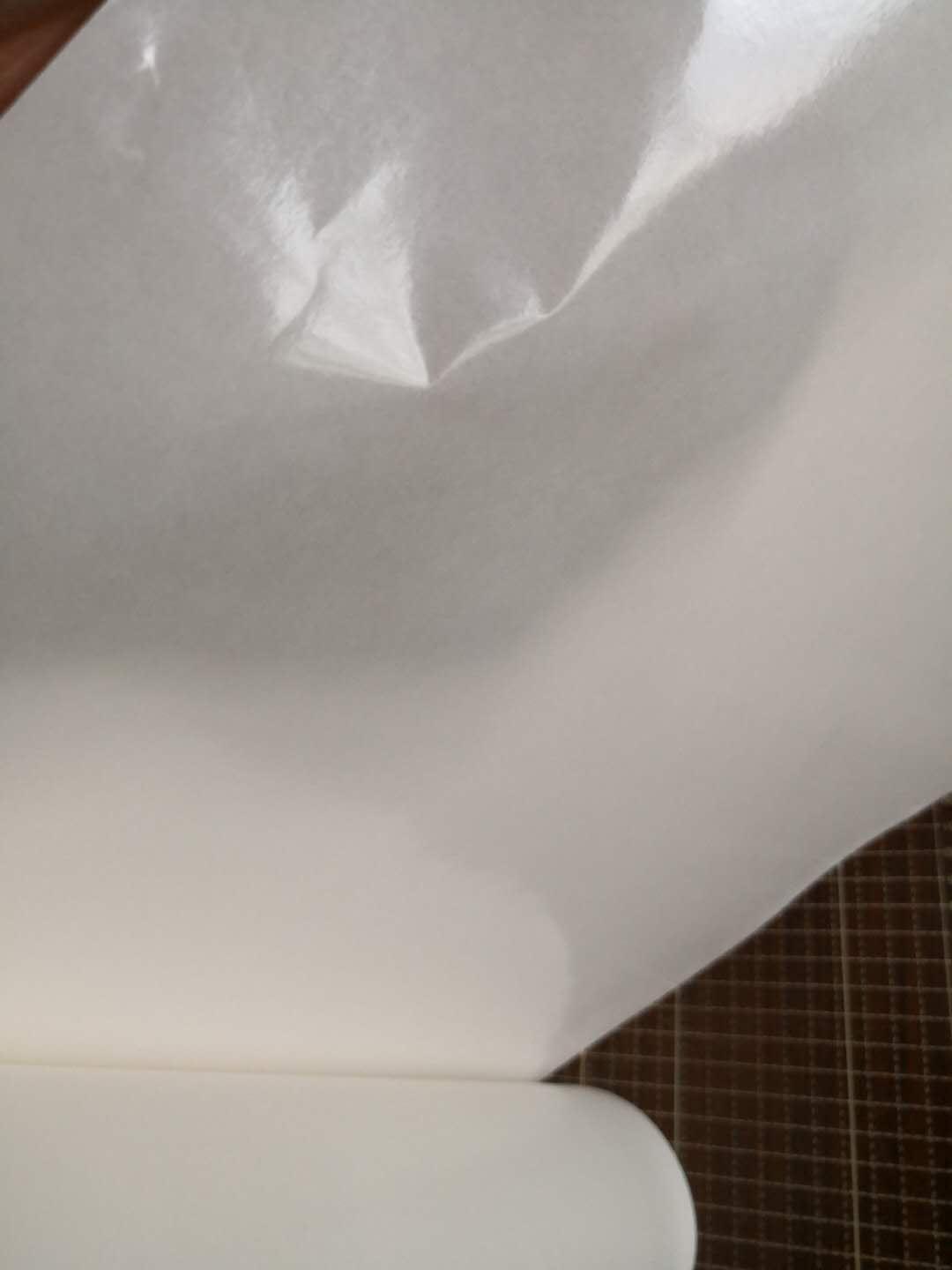 深圳小型白色淋膜纸