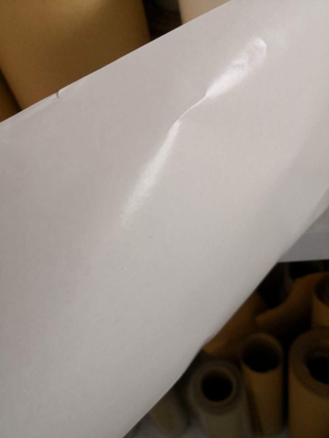 上海销售白色淋膜纸