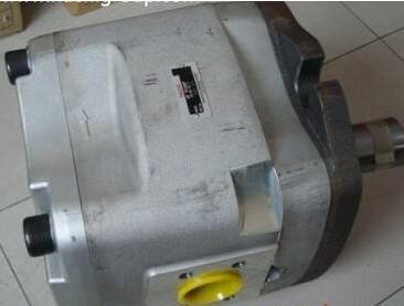 IPH-25B-6.5-50-11齿轮泵日本NACHI可能越 组合泵