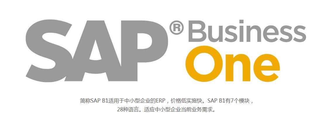 塑胶行业ERP系统 SAP Business One软件 工博提供