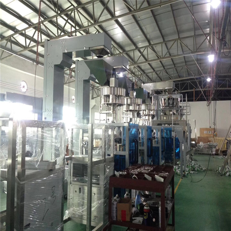 泰国榴莲干包装机 电子秤包装机厂家 越南水果干包装机