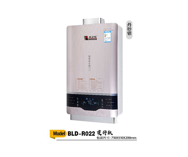 广东柏灵顿热水器BLD-R022-12升燃气热水器