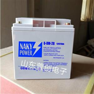 NAKYPOWER蓄电池机房建设电力应急