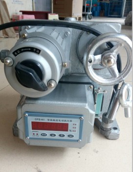 扬州瑞浦DKJ-6100D电子式电动执行器
