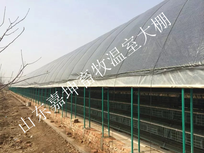 猪场自动化温室大棚 搭建温室大棚 养殖大棚造价 拱形温室大棚