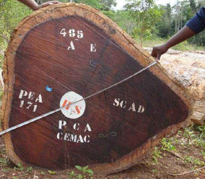 非洲木材进口代理资料