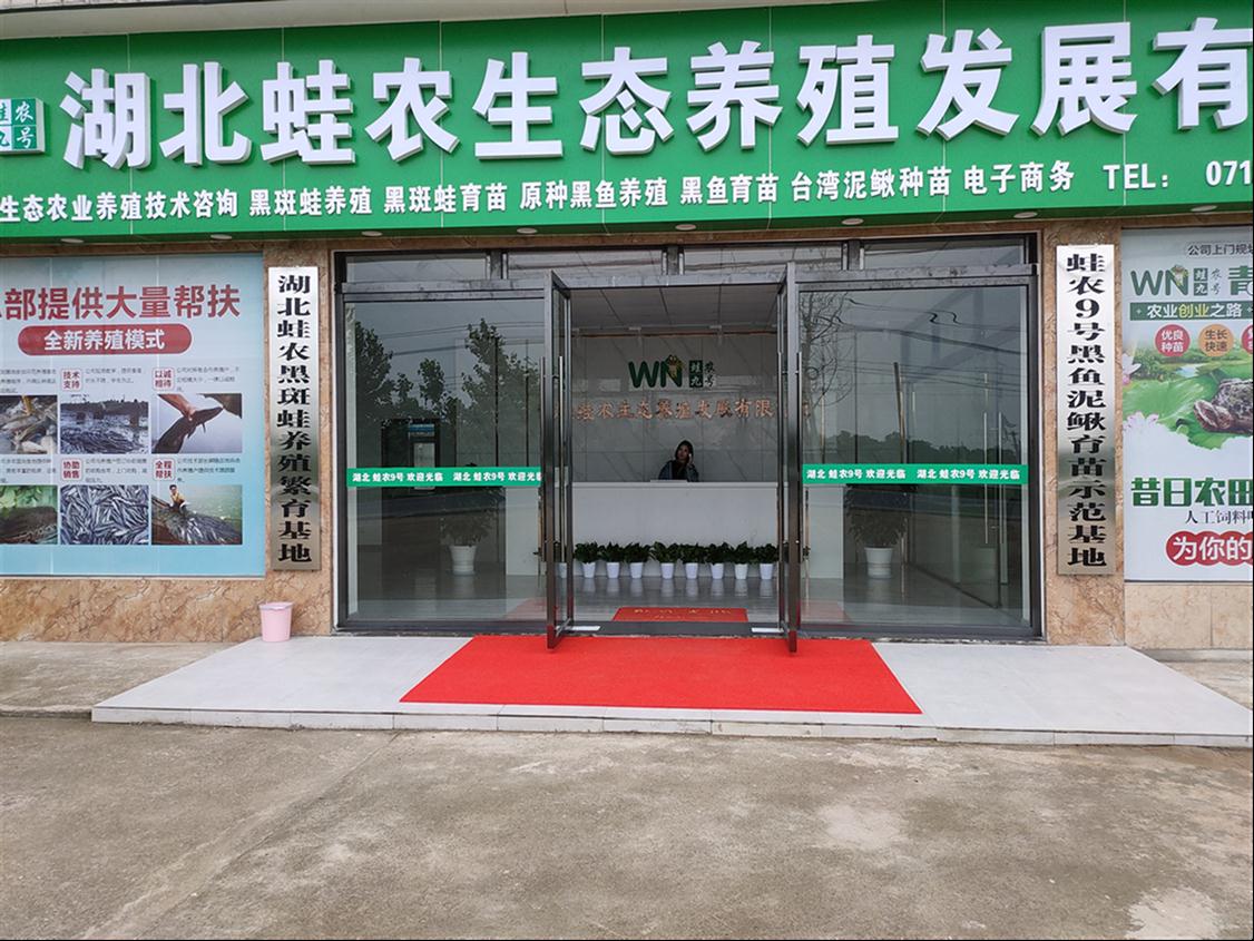廊坊蛙农青蛙养殖基地