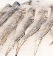 巴基斯坦白带鱼进口报关水产品清关流程