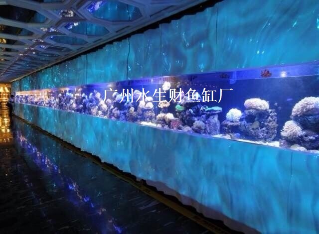 广州,鱼缸造景,家庭鱼缸,大型鱼缸,不规则鱼缸,上门定做鱼缸