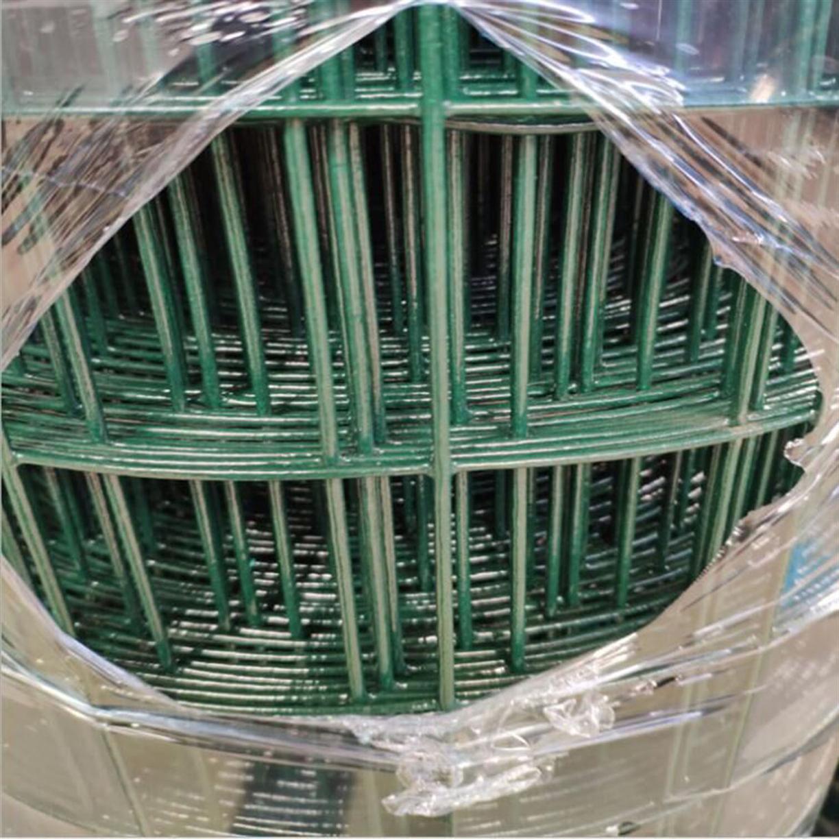 绿色铁丝网 浸塑荷兰网围栏 围栏网现货厂家