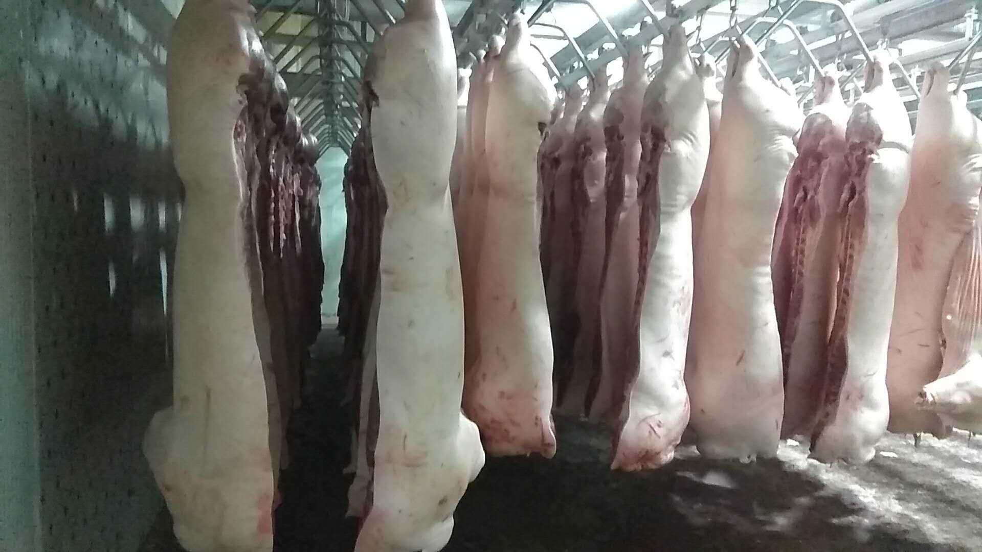 各种猪肉制品和冷鲜肉