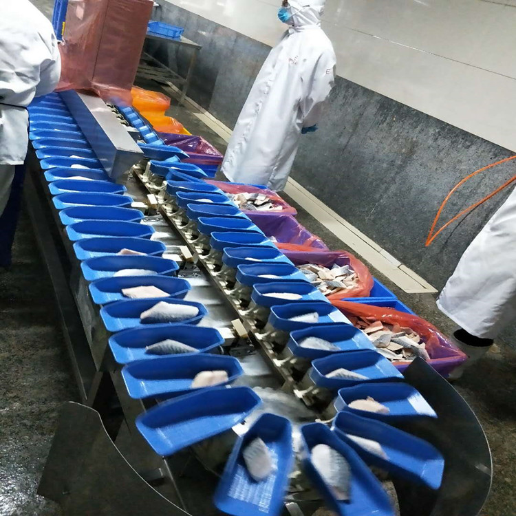 螃蟹重量分级机 翻盘式螃蟹自动分拣机厂家--山东广昌机械