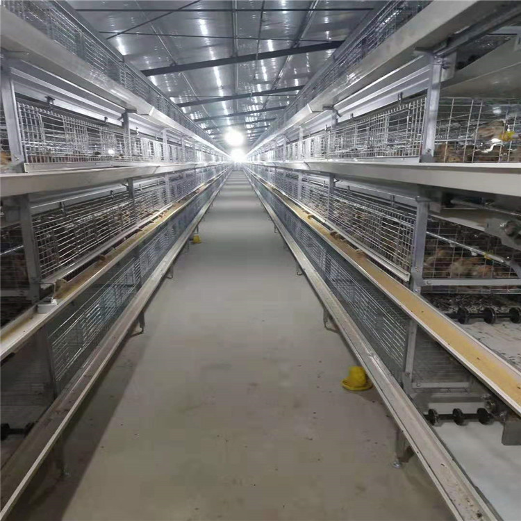 层叠鸡笼河南西平生产基地层叠蛋鸡笼皮带清粪阶梯料机自动捡蛋人工智能化设计