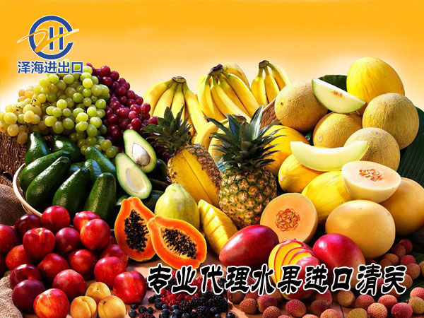 香蕉进口报关公司-水果进口报检需要的资料