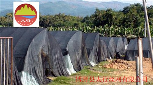 阜阳工程盖土网加工