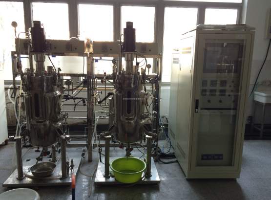 上海厂家供应实验型微生物发酵罐技术成员之一品质保证