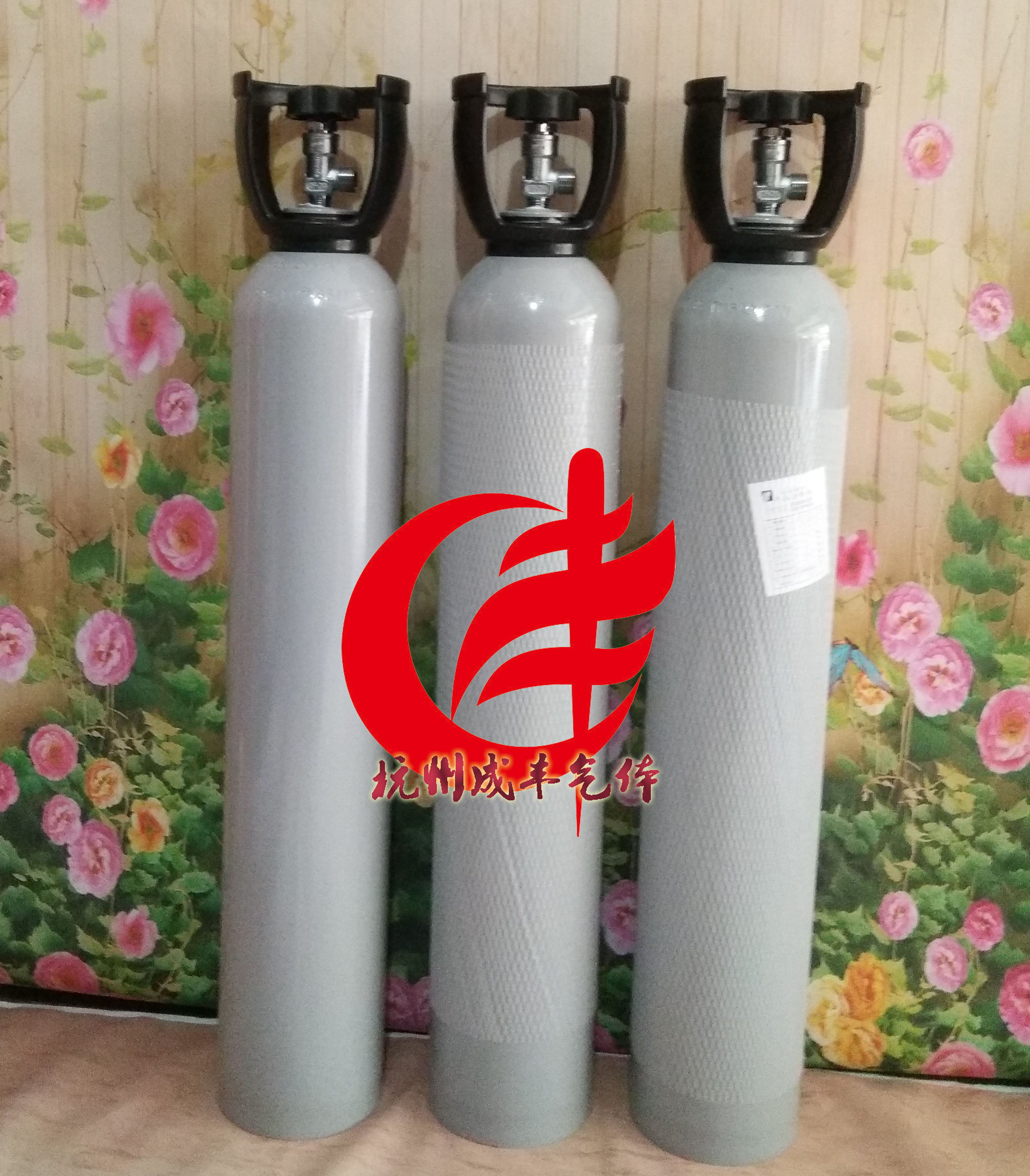 杭州厂家供应环境浓度检测报警器标准气体4升8升40升充换气