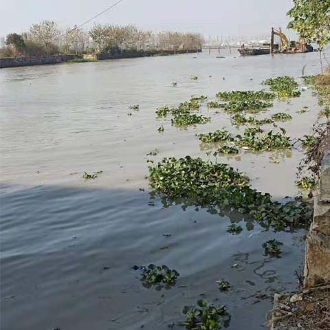 苏州专业河道疏浚